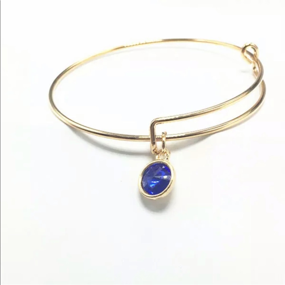 Expandable Wire Blue Charm With Pendant Bracelet